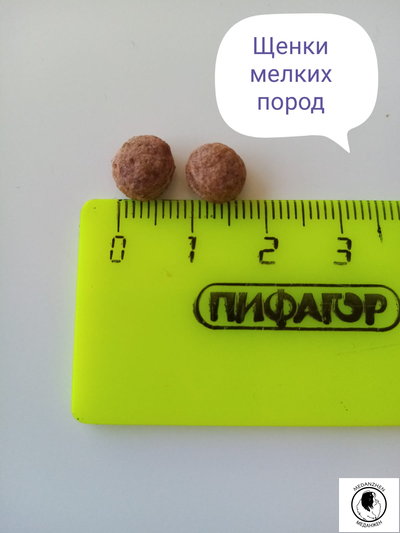 Гранд Дог корм сухой для щенков мелких пород Grand Dog с Говядиной 3кг