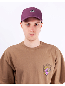 Кепка Anteater Baseball Фиолетовая