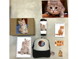 Бокс с котиками №3