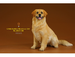 Золотистый ретривер (сидящий) - Коллекционная ФИГУРКА 1/6 scale Animal Model Golden Retriever 2.0 (MRZ057-3B) - Mr.Z