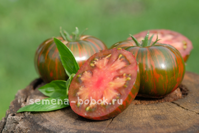 Томат Siegel's Dark Stripes (Темные Полосы Сигеля), 10 шт