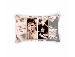 Подушка Сектор Газа, Юрий Хой №46