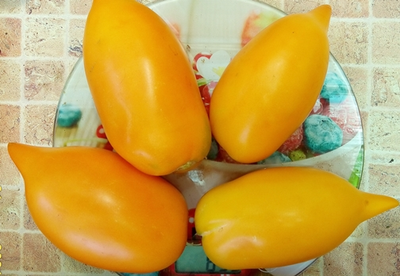 Томат Оранжевая прогулка (Orange walk)