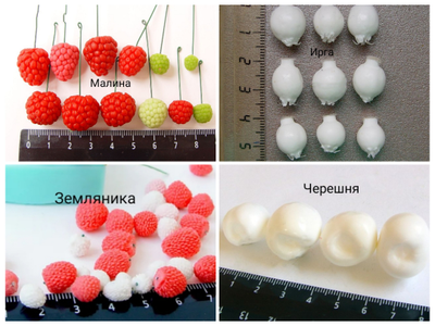Набор молдов "Ягоды"