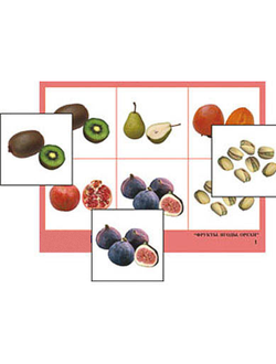 Лото "Фрукты, ягоды, орехи" (4 планшета, 24 карт., цвет., ламинир.)
