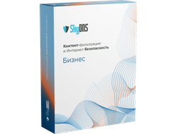SkyDNS.Бизнес, 1 год, 30 ПК