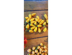 Перец острый Халапеньо желтый (Jalapeno Yellow)