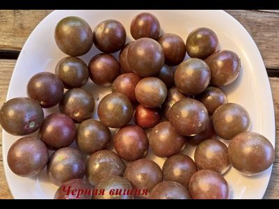 Томат Черная вишня (Black Cherry)