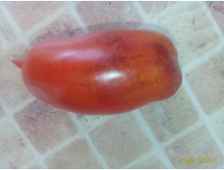 Томат Osu o Blonde avec Tetons (Пышногрудая блондинка Osu)