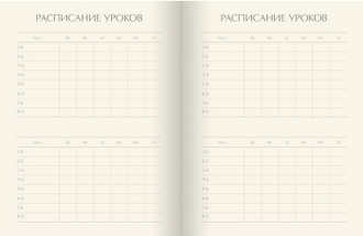 Школьный дневник Альт 10-258 (кеды с орнаментом)