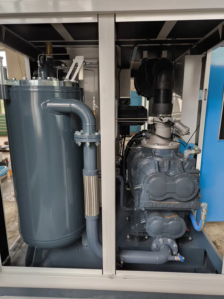 Компрессор DSV 110A-II