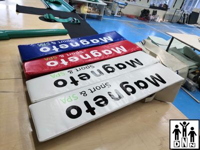 Подушки угловые для боксерского ринга 30 х 150 см (4шт) DNN (тент)