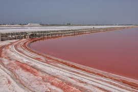 вода в озере Сасык-Сиваш
