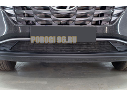 Защита радиатора Hyundai Tucson 2021- black низ