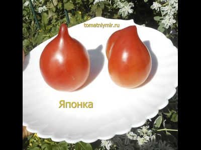 Томат Японка