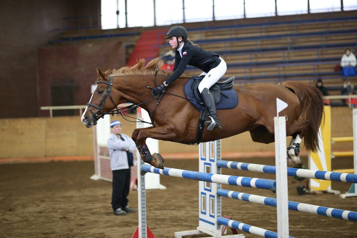 секции с 4 лет оусц планерная. олимпийский учебно-спортивный центр (оусц) «планерная». олимпийский учебно-спортивный центр планерная. оусц планерная конный спорт тренеры. олимпийский учебно-спортивный центр (оусц) «планерная».