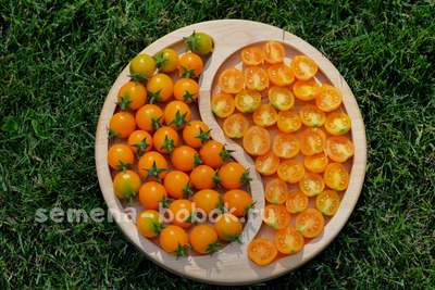 Томат Пендулина оранжевая (Pendulina Orange), 10 шт