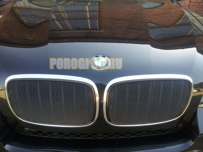 Защита радиатора BMW X5 E70 2006-2013 / BMW X6 2008-2014- (3D) black PREMIUM