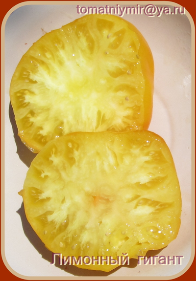 Томат Гигант лимонный
