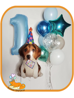 Щенок, цифра, фонтан из 10 шариков.