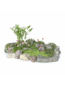 клумбы Альпинарий