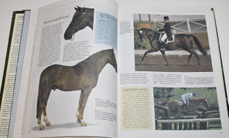 Лошади и уход за ними. Энциклопедическое издание о лошадях и пони с кратким руководством по их содержанию. Минск: Белфакс. 2001 г.
