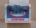 Жимолость &quot; ВОСТОРГ&quot; 3х летка