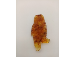 Магнит сова.