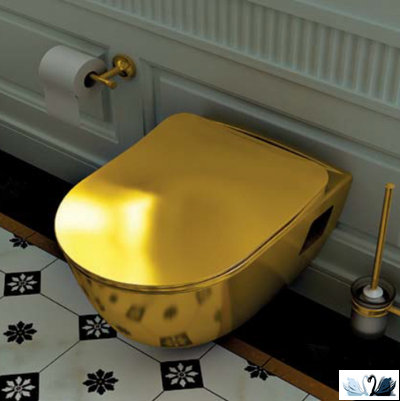 Чаша унитаза подвесная CREAVIT Terra TP325-11CB00E-AK00, золотой