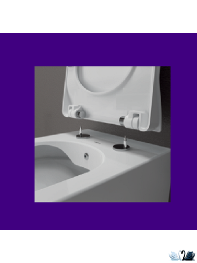 Унитаз-биде Creavit Elegant Rim-Off EG321.00000 подвесной, безободковый квадратная форма