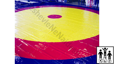 борцовский ковер