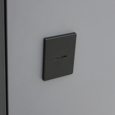 Стальная дверь   Бриг