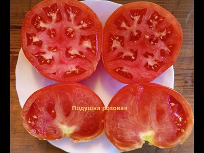Томат Подушка розовая