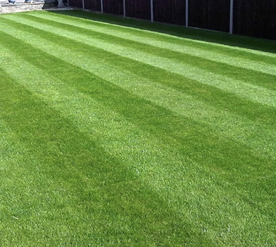 Спортивный газон (Универсальный), 10кг