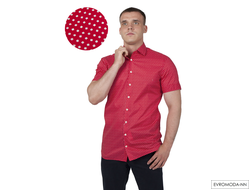 Рубашка мужская Рато S-SF 170796 (41)