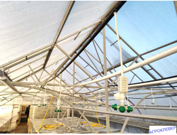 Подвес для микродождевателя / фоггера (6мм Н), с клапаном "антикапля", 50 см (белый)