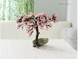 Бонсай Сакура из полимерной глины.