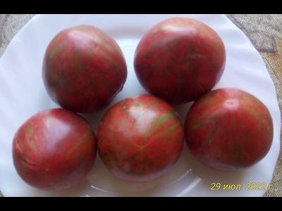 Томат Полосатая милая, темная (Striped Sweetheart, Dark) США