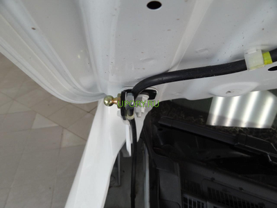 Амортизаторы (упоры) капота для Nissan Tiida 2 (2015-)