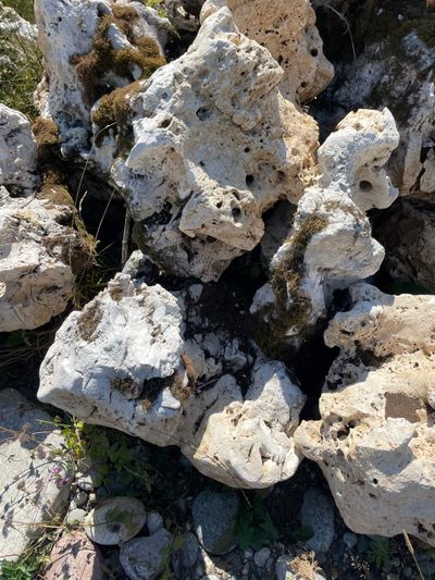 Известняк степной рельефный мелкий, фракция 200-500 мм