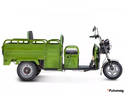 Грузовой электротрицикл Rutrike Вояж-П2 1250 60V 800W зеленый