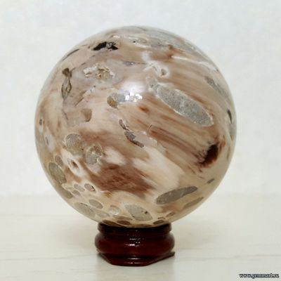 Окаменелое дерево со следами древоточца, шар. Россия. Около 69мм.