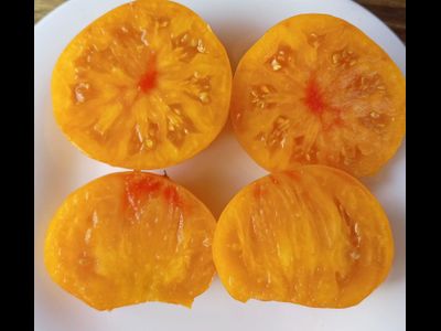 Томат Радужный сердцевидный джаз (Rainbow jazz heart)