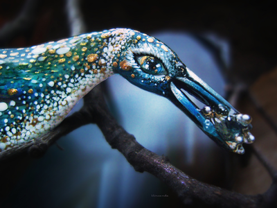 Брошь с сапфиром из серии Заполярных пингвинов