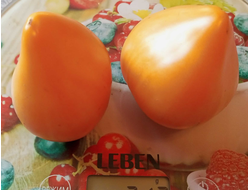 Томат Пастельное оранжевое сердце (Pastel Orange Heart)