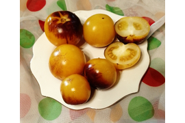 Гном Луна Гондваны