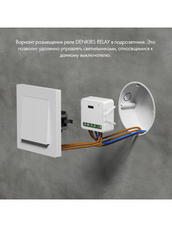 Одноканальное Wi-Fi реле-выключатель Denkirs RL1001-SM