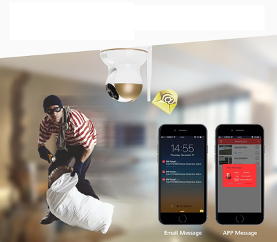 BW. Видеоняня /WiFi-LAN видеокамера моторизированная с DVR , HD (163Eye/Yoosee)