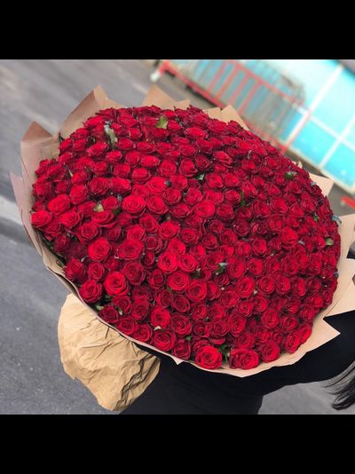 Букет из 303 красных роз 70см "Премиум"