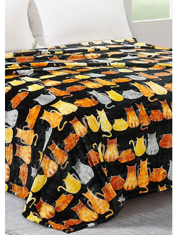 Плед Cleo КАЛИФОРНИЯ евро велсофт 200х220 200/164-PF